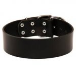 Extra Wide Leather Swiss Mountain Dog Collar for Professional Training