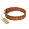 "Gorgeous Roundie" FDT Artisan Tan Leather Swiss Mountain Dog Collar with Chrome-plated Circles