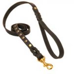 Studded Leather Swiss Mountain Dog Leash for Dog Walking and Training