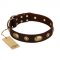 "Hebe's Jewel" FDT Artisan Brown Genuine Leather Swiss Mountain Dog Collar