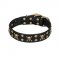 "Jolly Rojer" FDT Artisan Leather Swiss Mountain Dog Collar with Pirate Skulls and Studs - 1 1/2 inch (40 mm) wide