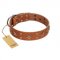 "Dreamy Gleam" FDT Artisan Tan Leather Swiss Mountain Dog Collar Adorned with Stars and Squares