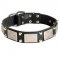 Leather Swiss Mountain Dog Collar Decorated with Nickel Cones and Plates