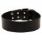 Extra Wide Leather Swiss Mountain Dog Collar for Professional Training