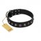 "Black Knight" Handmade FDT Artisan Black Leather Swiss Mountain Dog Collar with Silver-Like Studs