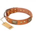 "Saucy Nature" FDT Artisan Tan Leather Swiss Mountain Dog Collar with Old Bronze Look Plates and Skulls
