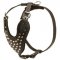 Adjustable Leather Swiss Mountain Dog Harness Studded for Fashion Walking