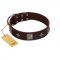 "Cold Star" Designer FDT Artisan Brown Leather Swiss Mountain Dog Collar with Silver-Like Adornments