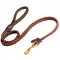 Swiss Mountain Dog Leather Braided Dog Leash