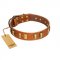 "Olive Slice" FDT Artisan Tan Leather Swiss Mountain Dog Collar with Engraved and Smooth Plates