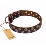 "Strong Shields" FDT Artisan leather Swiss Mountain Dog collar with stylish decorations
