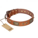 "Catchy Look" FDT Artisan Decorated Tan Leather Swiss Mountain Dog Collar