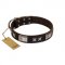 "Satin Beauts" FDT Artisan Brown Leather Swiss Mountain Dog Collar with Stars and Plates