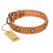 "Feast of Luxury" FDT Artisan Tan Leather Swiss Mountain Dog Collar with Old Bronze Look Circles