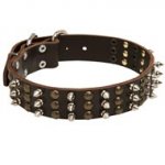 Swiss Mountain Dog Spikes and Studs Rows Leather Dog Collar