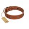 "Sweet Caramel" Designer FDT Artisan Tan Leather Swiss Mountain Dog Collar
