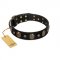 Pirate's Spell' FDT Artisan Black Leather Swiss Mountain Dog Collar with Engraved Studs and Medallions