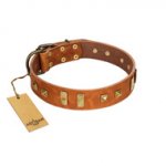 "Sand of Time" FDT Artisan Tan Leather Swiss Mountain Dog Collar with Old Bronze-like Studs and Plates
