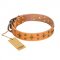"Top-Flight" FDT Artisan Adorned Tan Leather Swiss Mountain Dog Collar