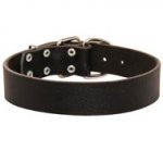 Wide Leather Swiss Mountain Dog Collar for Training and Walking