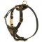 Tracking Walking Walking Leather Swiss Mountain Dog Harness for Puppies