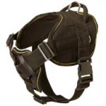 Nylon Swiss Mountain Dog Harness for Pulling Tracking Training