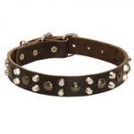 Leather Swiss Mountain Dog Collar With Studs and Pyramids