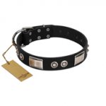 "Grand Wear" FDT Artisan Black Leather Swiss Mountain Dog Collar with Shining Plates and Spiked Studs