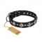"Silver Charm" FDT Artisan Leather Swiss Mountain Dog Collar with Silvery-Plated Large Square Studs