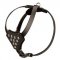 Designer Leather Swiss Mountain Dog Harness with Adjustable Straps for Puppy Walking and Training