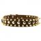 Spiked and Studded Swiss Mountain Dog Leather Collar