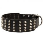 Extra Wide 4 Rows Studded Leather Swiss Mountain Dog Collar