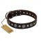 "Victory Ode" FDT Artisan Brown Leather Swiss Mountain Dog Collar with Silver-like Plated Decorations