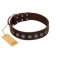 "Starry-Eyed" Best Quality FDT Artisan Brown Designer Leather Swiss Mountain Dog Collar with Small Plates