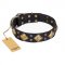 "Fancy-Schmancy" FDT Artisan Studded Leather Swiss Mountain Dog Collar