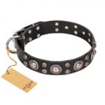"Vintage Necklace" FDT Artisan Studded Black Leather Swiss Mountain Dog Collar