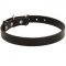 Swiss Mountain Dog Leather Dog Collar 1 inch Wide