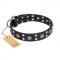 "Refined Essence" FDT Artisan Black Leather Swiss Mountain Dog Collar with Silvery Studs