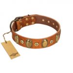 "Crystal Sand" FDT Artisan Tan Leather Swiss Mountain Dog Collar with Vintage Looking Oval and Round Studs