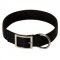 2 Ply Nylon Swiss Mountain Dog Collar
