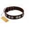 "High and Mighty" FDT Artisan Classy Brown Leather Swiss Mountain Dog Collar with Embellished Brooches