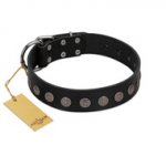 "Silent Star" Handmade FDT Artisan Designer Black Leather Swiss Mountain Dog Collar with Engraved Plates