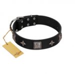 "Black Cavalier" Handmade FDT Artisan Black Leather Swiss Mountain Dog Collar with Silver-Like Stars and Large Plates
