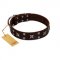 "Bigwig Woof" FDT Artisan Brown Leather Swiss Mountain Dog Collar with Chrome Plated Stars and Square Studs