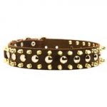 Spiked and Studded Swiss Mountain Dog Leather Collar
