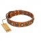 "Golden Epoch" FDT Artisan Tan Leather Swiss Mountain Dog Collar with Old Bronze-plated Medallions and Conchos