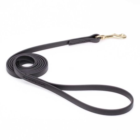 Black Biothane Swiss Mountain Dog Leash for Walking, Tracking