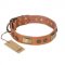 "Lost Desert" FDT Artisan Leather Swiss Mountain Dog Collar with Brass Decorations