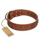 "Silver Century" Fashionable FDT Artisan Tan Leather Swiss Mountain Dog Collar with Silver-Like Plates