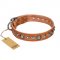 "Daily Chic" FDT Artisan Tan Leather Swiss Mountain Dog Collar with Decorations